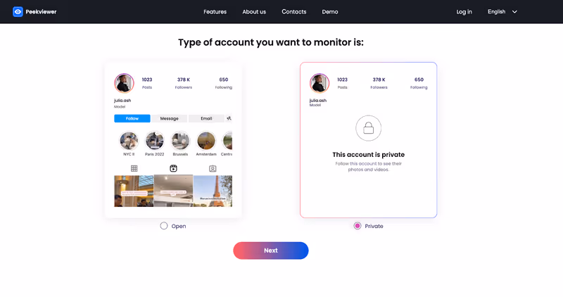 How to use Peekviewer: choosing IG account type