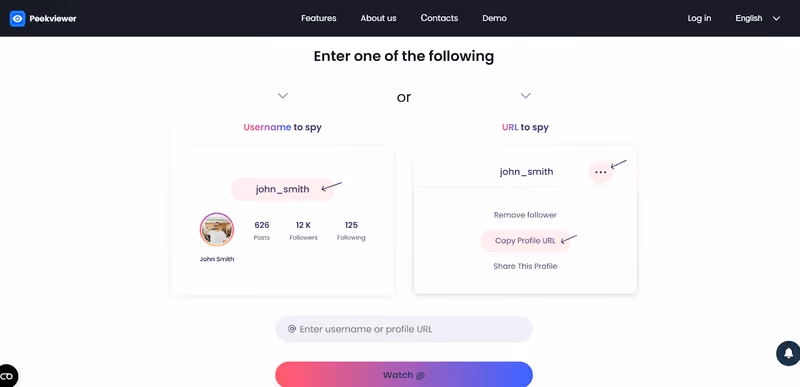 How to Use Peekviewer Blocked Instagram Account Viewer - enter username or url