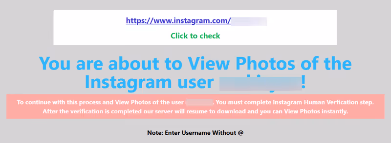How Instalooker Works Step 3 – by Private Instagram Viewer Free