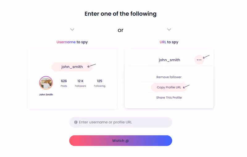 Using Peekviewer to save private Instagram content. Enter the Instagram username or profile link of the account.
